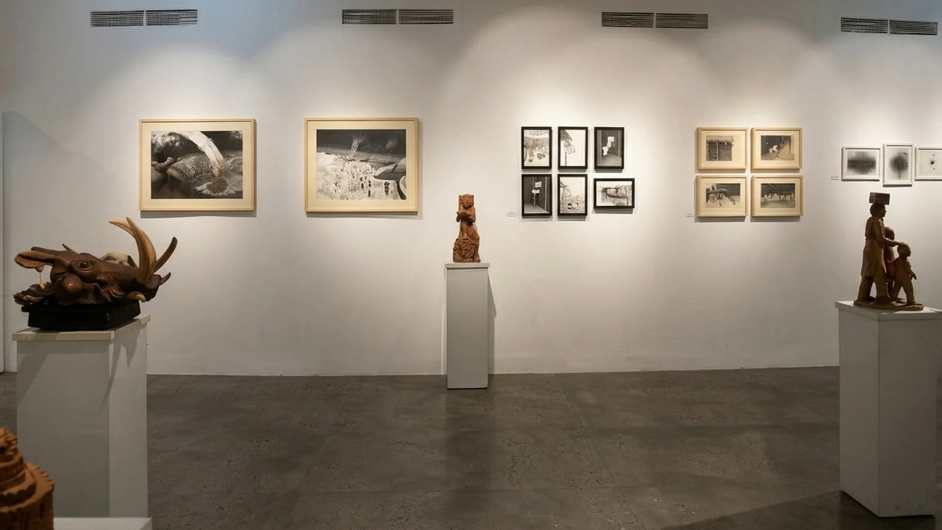 Janus Gallery Exhibition Wall